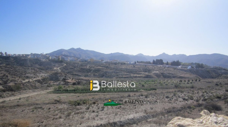 Almería - Huércal-Overa - 40000m2