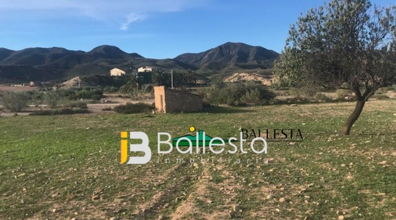 Almería - La Portilla - 54500m2