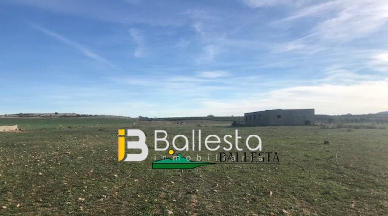 Almería - La Portilla - 54500m2
