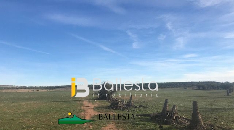 Almería - La Portilla - 54500m2