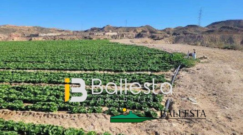 Almería - Antas - 160000m2