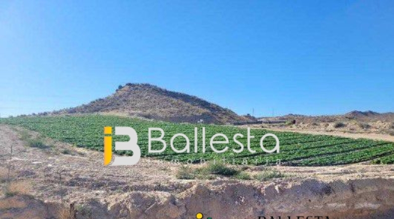 Almería - Antas - 160000m2