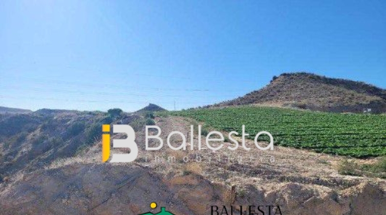 Almería - Antas - 160000m2