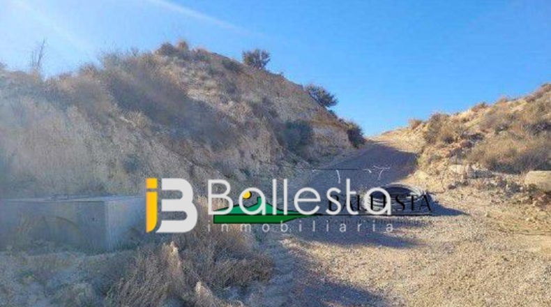 Almería - Antas - 160000m2