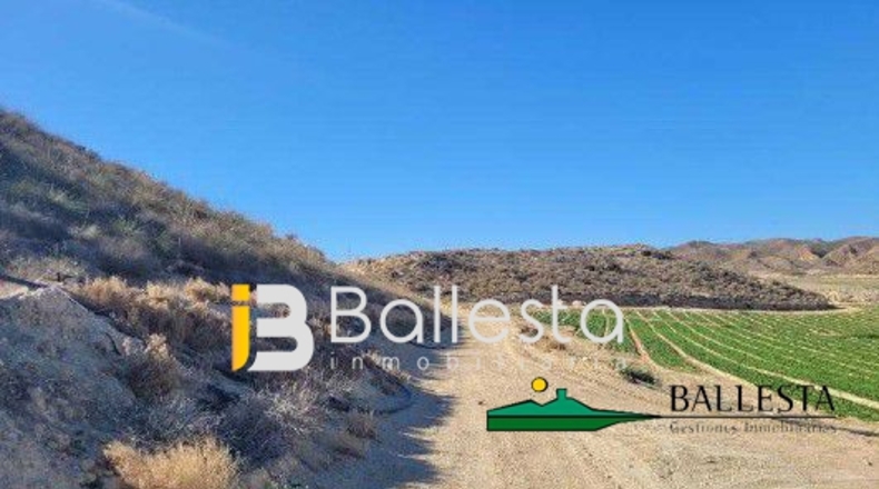 Almería - Antas - 160000m2