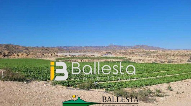 Almería - Antas - 160000m2