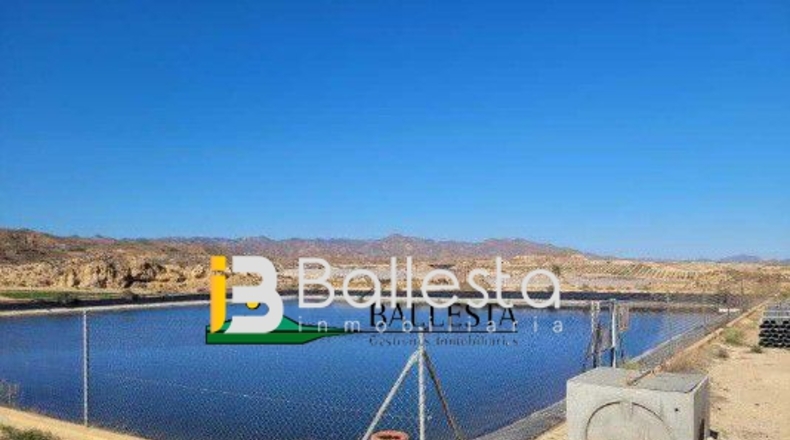 Almería - Antas - 160000m2