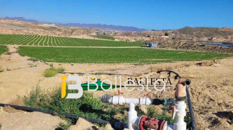 Almería - Antas - 160000m2