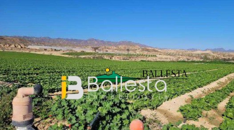 Almería - Antas - 160000m2