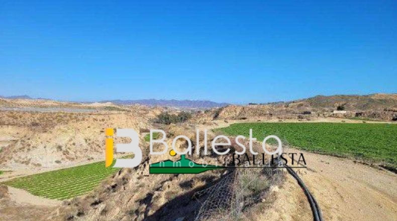 Almería - Antas - 160000m2