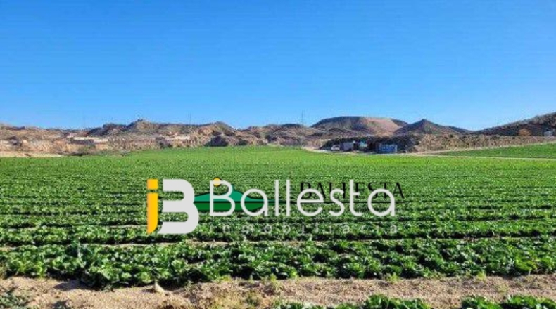 Almería - Antas - 160000m2