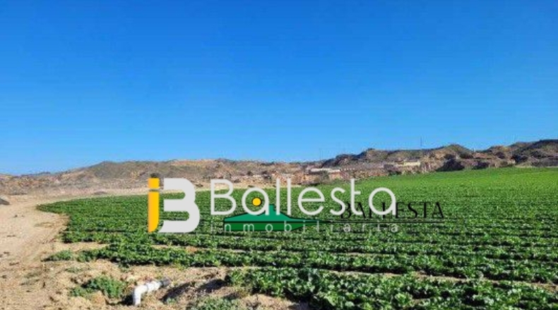 Almería - Antas - 160000m2