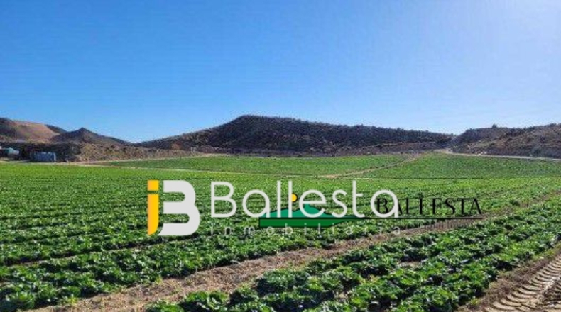 Almería - Antas - 160000m2