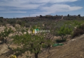 Terreno no urbanizable en venta en la España, Huércal-Overa, ref: TR106408 foto