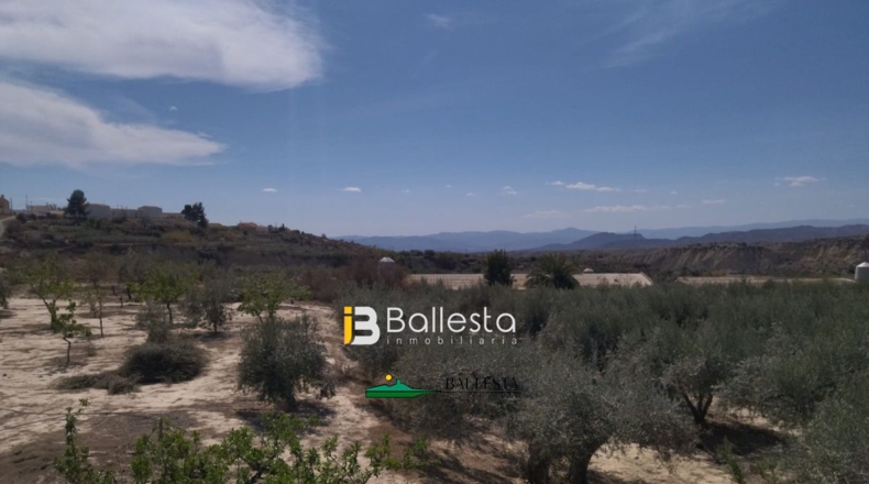 Almería - Huércal-Overa - 60000m2