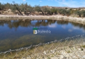 Terreno no urbanizable en venta en la España, Huércal-Overa, ref: TR106408 foto