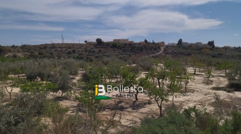 Almería - Huércal-Overa - 60000m2