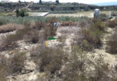 Terreno no urbanizable en venta en la España, Huércal-Overa, ref: TR106408 foto