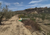 Terreno no urbanizable en venta en la España, Huércal-Overa, ref: TR106408 foto