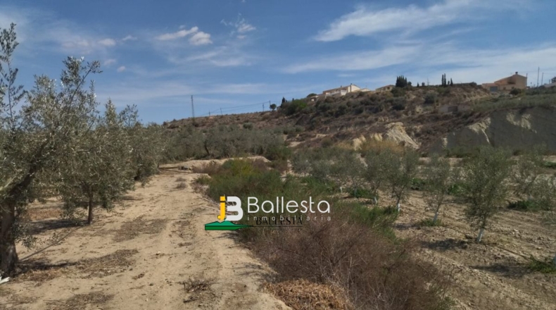 Almería - Huércal-Overa - 60000m2