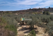 Terreno no urbanizable en venta en la España, Huércal-Overa, ref: TR106408 foto