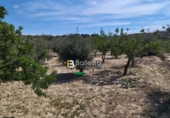 Terreno no urbanizable en venta en la España, Huércal-Overa, ref: TR106408 foto