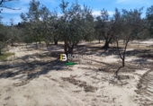 Terreno no urbanizable en venta en la España, Huércal-Overa, ref: TR106408 foto
