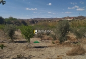 Terreno no urbanizable en venta en la España, Huércal-Overa, ref: TR106408 foto