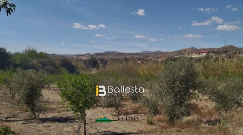 Almería - Huércal-Overa - 60000m2