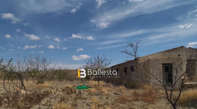 Almería - Huércal-Overa - 3486m2