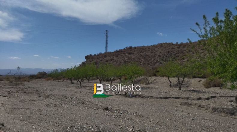Almería - Huércal-Overa - 3486m2