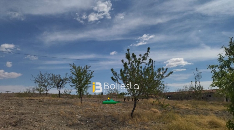 Almería - Huércal-Overa - 3486m2