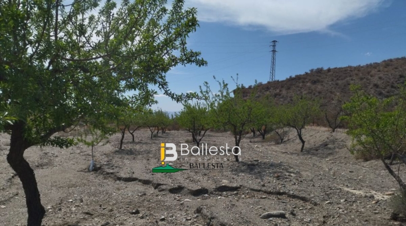 Almería - Huércal-Overa - 3486m2