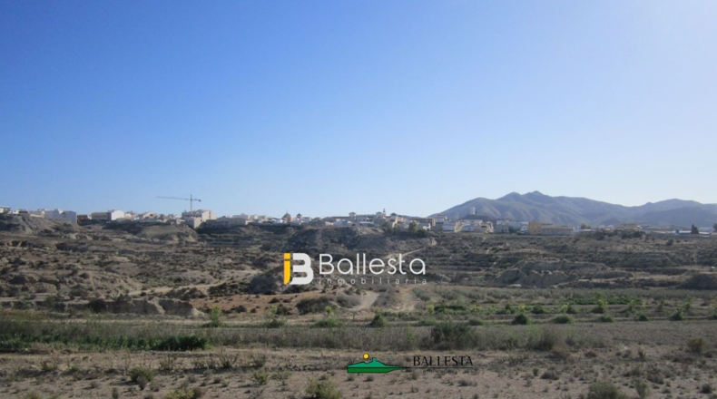 Almería - Huércal-Overa - 40000m2
