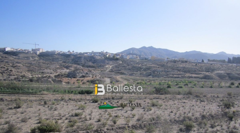Almería - Huércal-Overa - 40000m2
