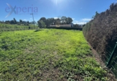 Terreno no urbanizable en venta en Noreña ref: TR351094 foto