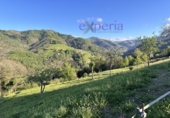 Rural estate for sale in Langreo ref: TR106404 photo