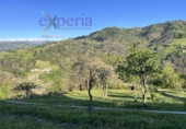 Rural estate for sale in Langreo ref: TR106404 photo