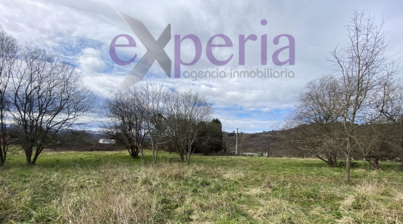 Asturias - Respineo - 4046m2