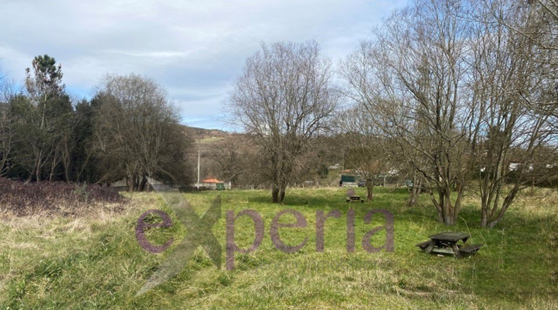 Asturias - Respineo - 4046m2