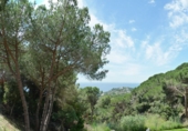 Chalet independiente con terreno en venta en Lloret de Mar ref: TR29514 foto