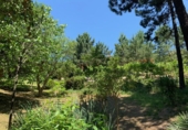 Finca rústica en venda a Lloret de Mar ref.: TR29826 foto