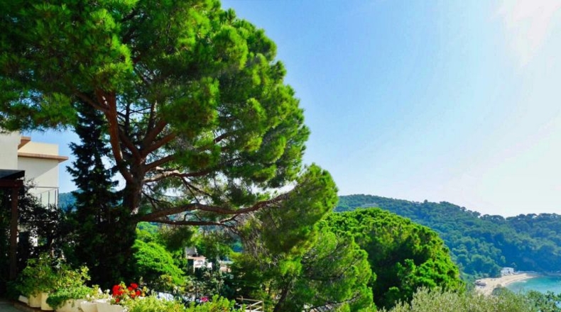 Gerona - Lloret de Mar - 863m2