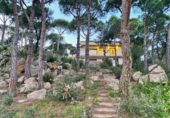 Finca rústica en venda a Lloret de Mar ref.: TR37126 foto