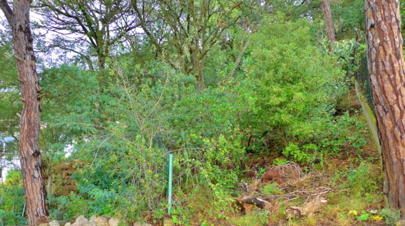 Gerona - Canyelles - 600m2