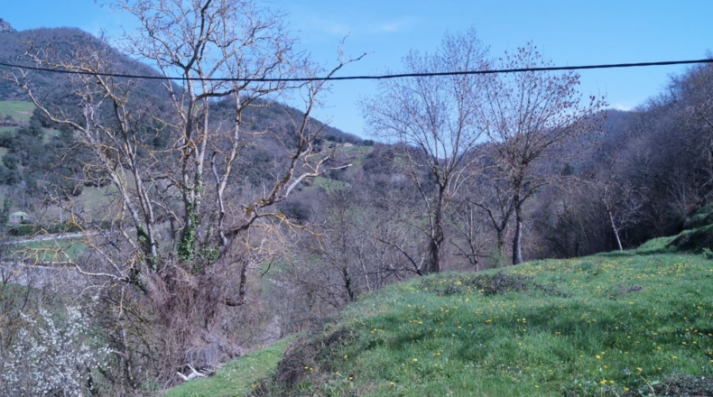 Cantàbria - La Parte - 232m2