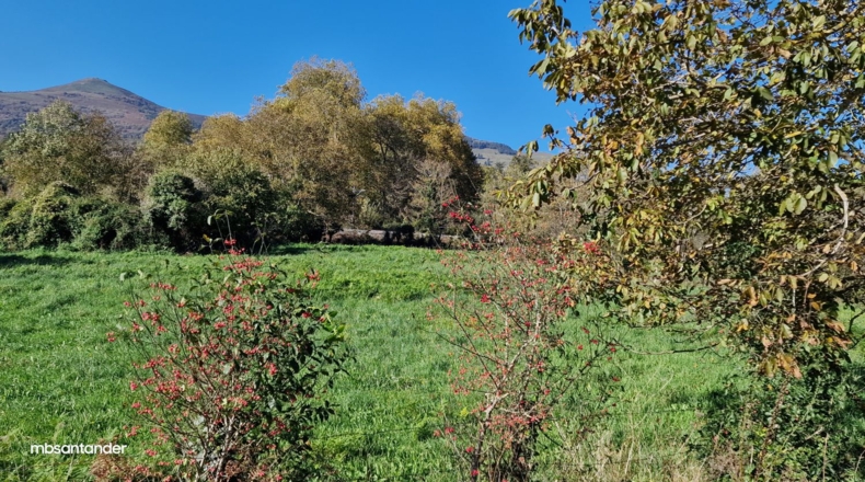 Cantàbria - Santián - 4574m2