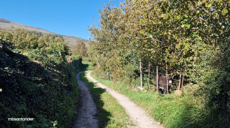 Cantàbria - Arca - 4767m2