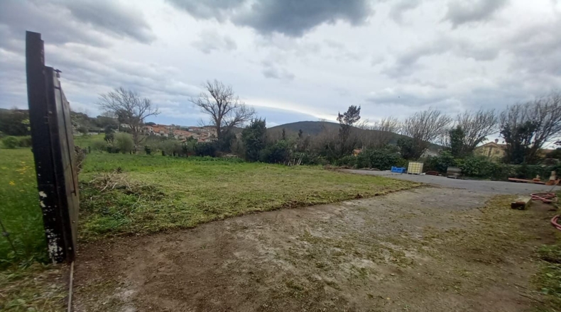 Cantabria - Palacio - 2031m2
