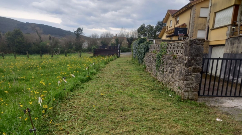 Cantabria - Palacio - 2031m2